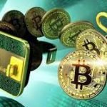 crypto-shit-compra